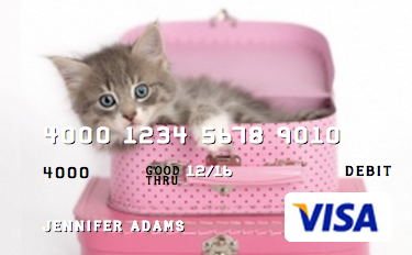 kitty pink luggage-1