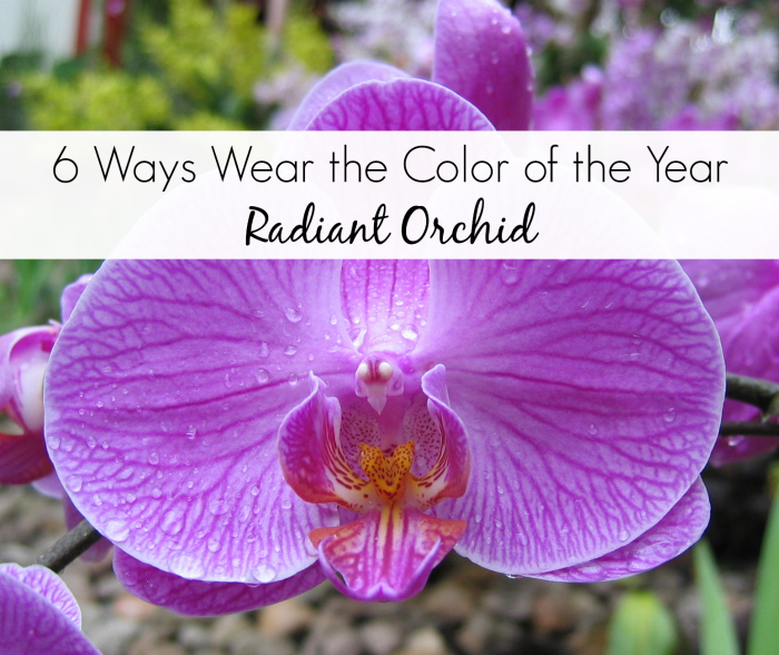 6 Ways to Wear Radiant Orchid Color of the Year