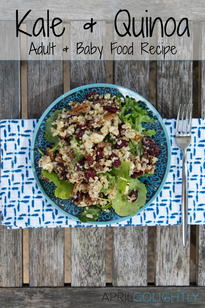 Kale and Quinoa Adult and Baby Food Recipe