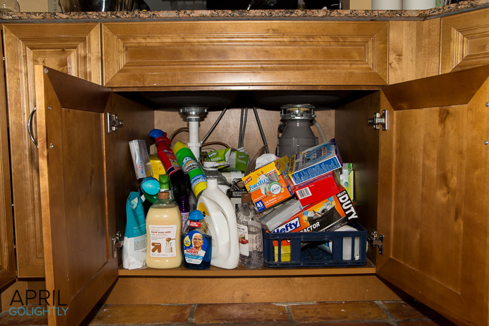 Organize Underneath the kitchen sink-9673
