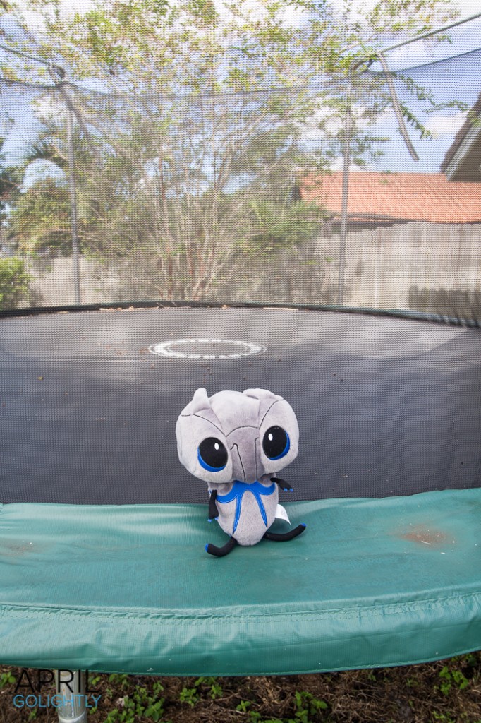 #adoptEcho jumping on the trampoline-0942