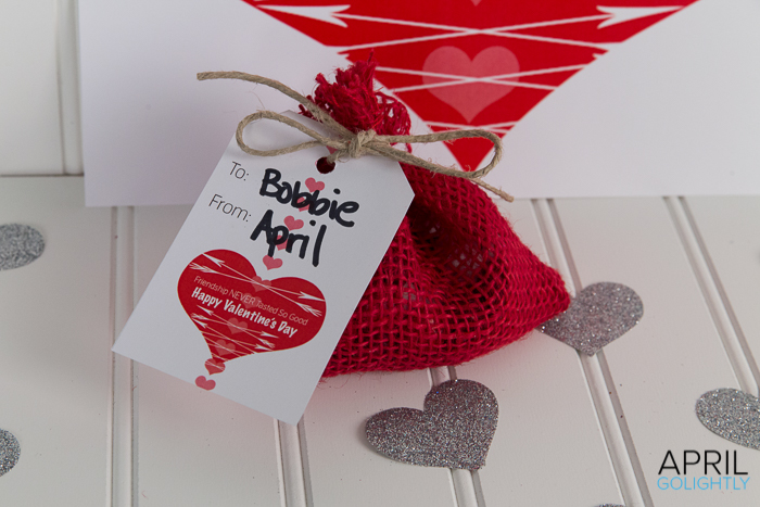 Valentines Day Gift Bags-3394