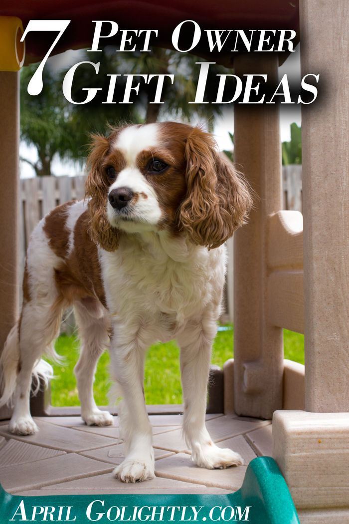 7-Pet-Owner-Gift-Ideas-