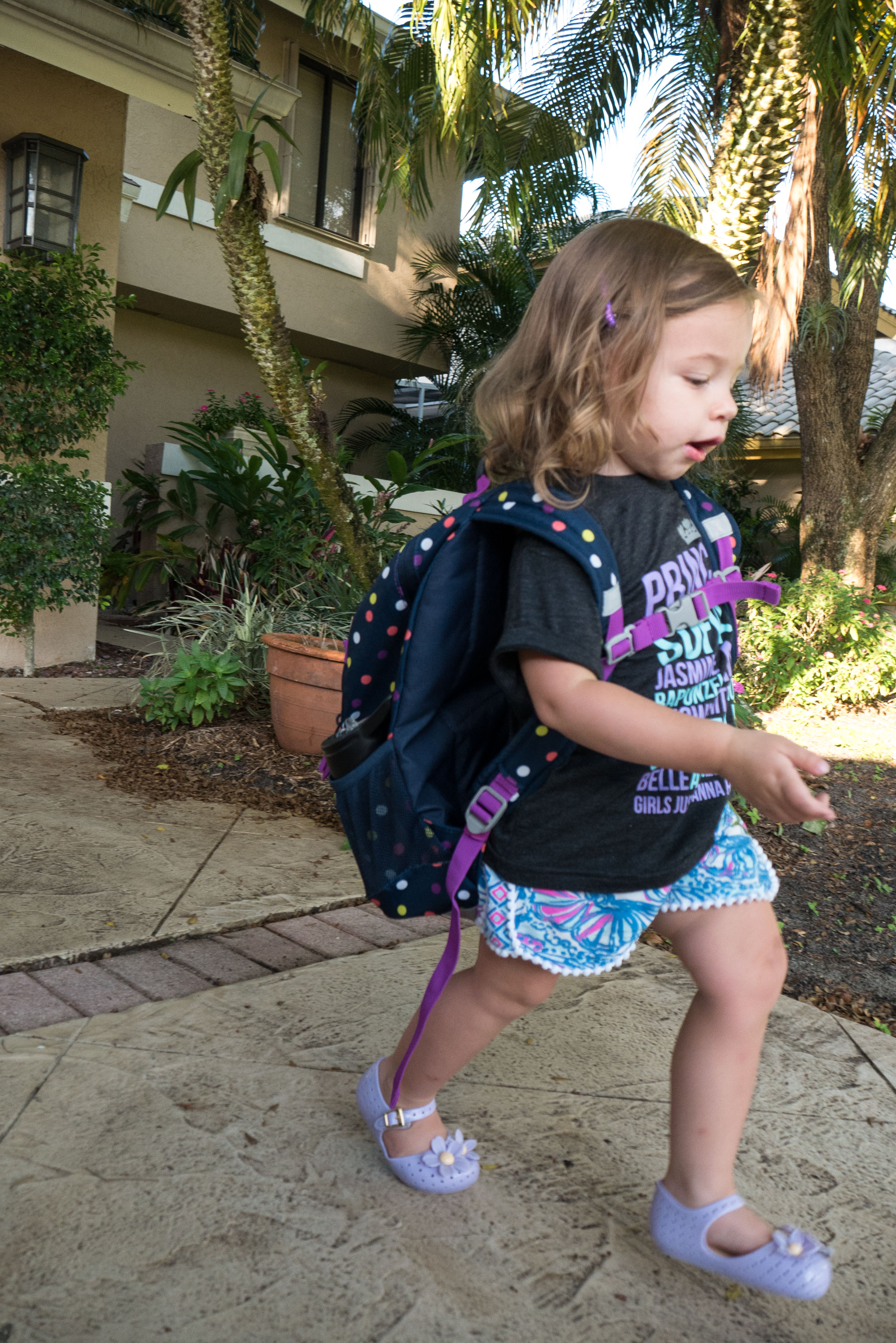 Land's End Back Pack