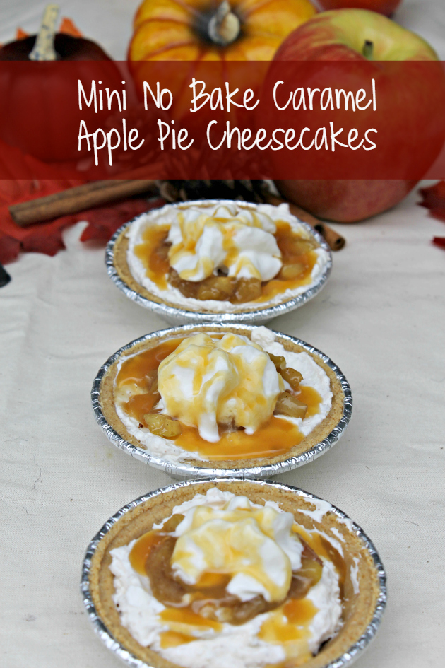 Easy Thanksgiving Dessert Recipes - no bake caramel apple pie cheesecake 