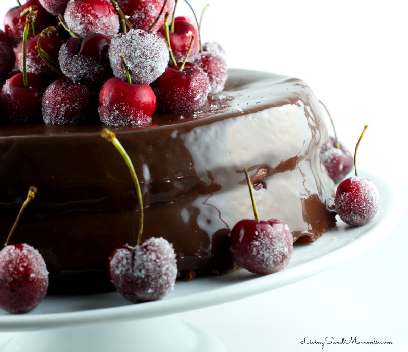 spectacular-chocolate-cake-recipe-6