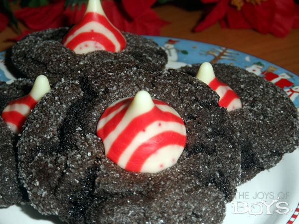Chocolate Christmas Cookies