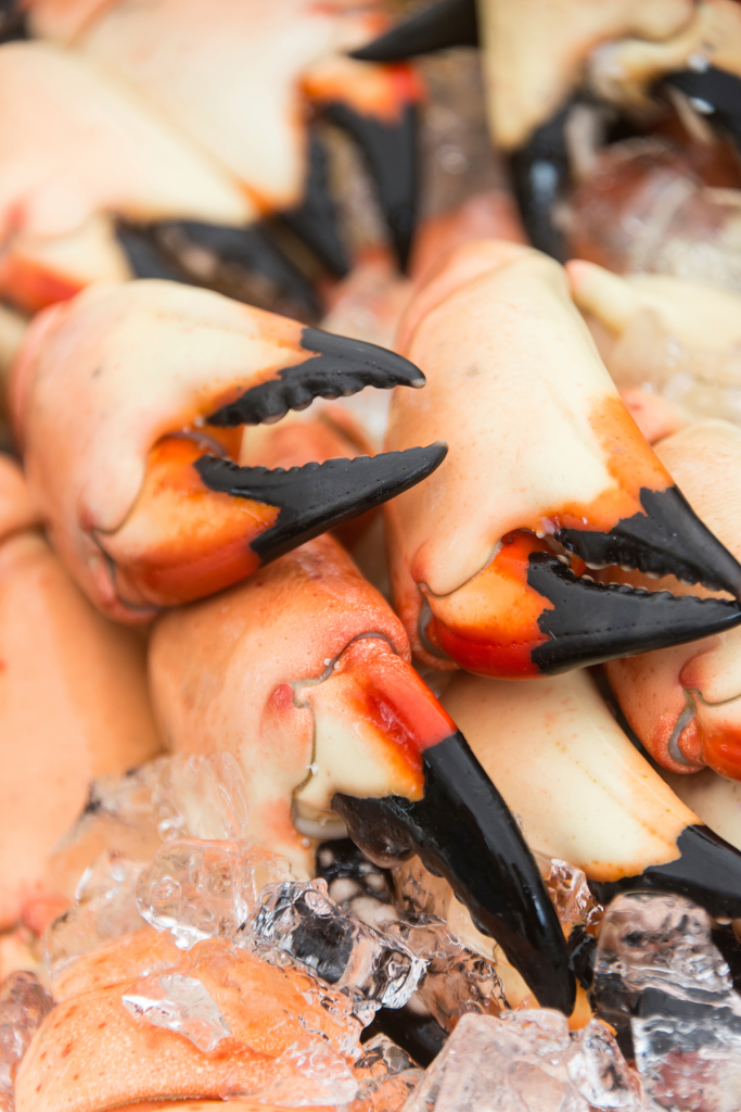 Stone+Crab+Claws