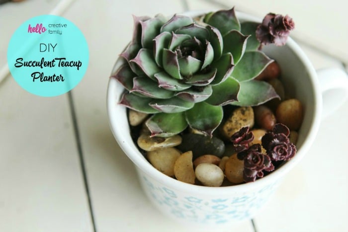 DIY Succulent Teacup Planter from Hello Creative Family