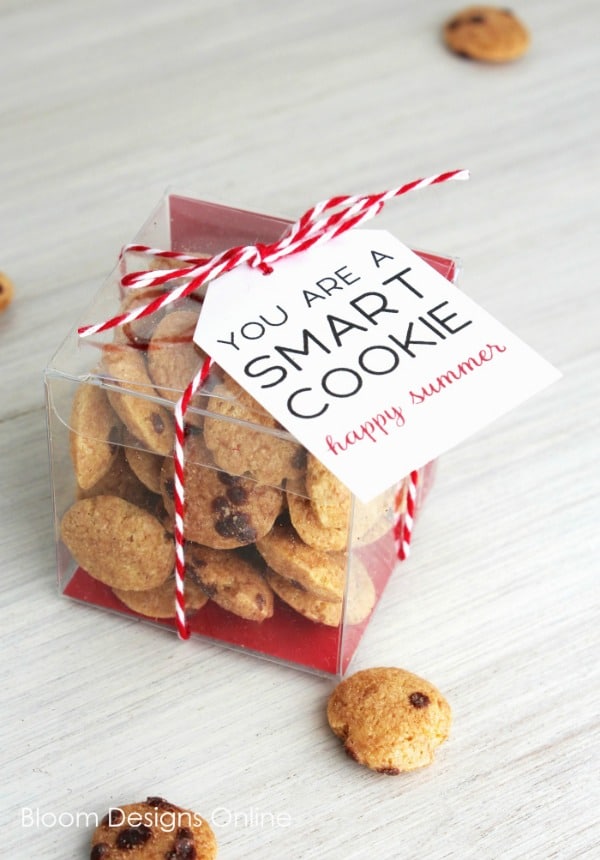 Smart Cookie from Bloom Designs 
