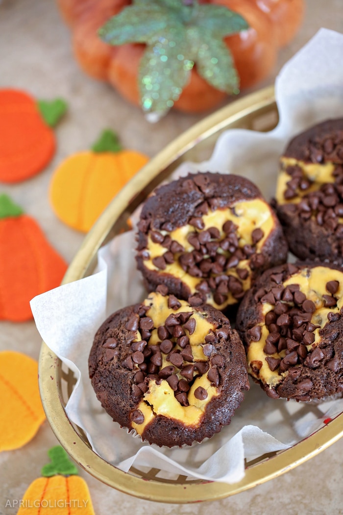 Pumpkin Chocolate Cheesecake Muffins