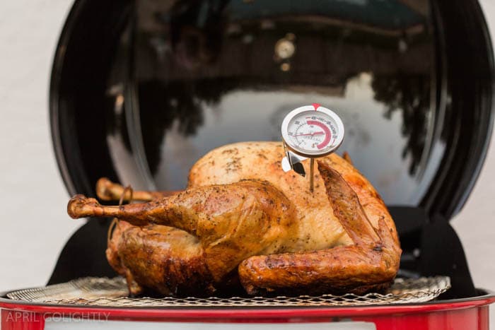 grilled-turkey-18-of-20