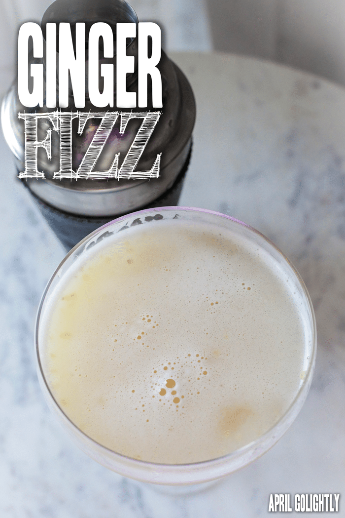 Ginger Fizz Cocktail Recipe is made with vodka and was inspired by the Moscow mule recipes that are everywhere - this craft cocktail is very old world style