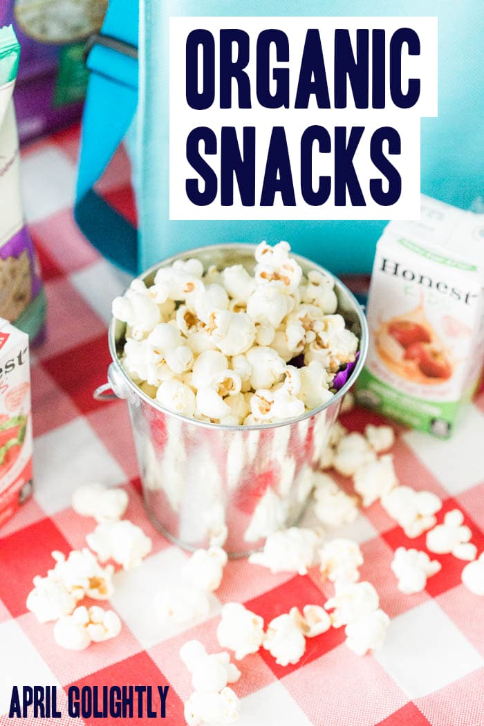 Organic Snack Ideas for Lunch from Annie's and Honest Juice that you can grab at wholesale club Sam's Club for a better price 
