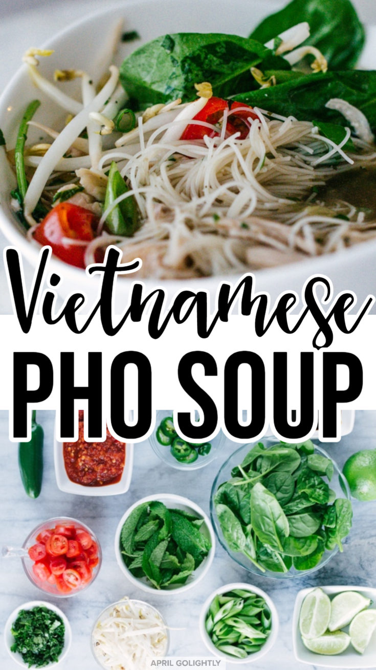 Instant Pot Chicken Pho SOUP recipe