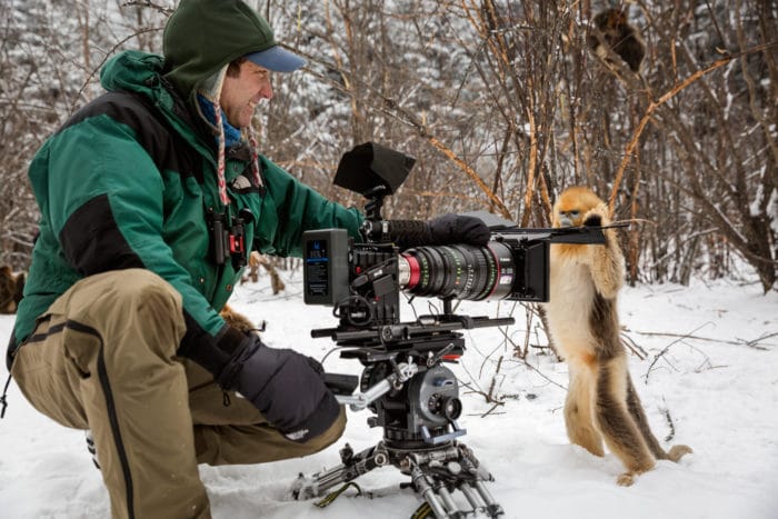 Description: Cinematographer Justin Maguire filming golden snub-nosed monkeys.