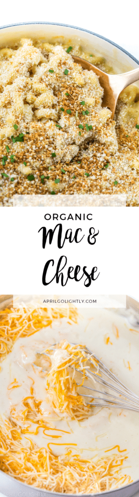 Easy Homemade Organic Baked Mac & Cheese recipe made with bread crumbs on top made in the le Creuset pot on the stove top 
