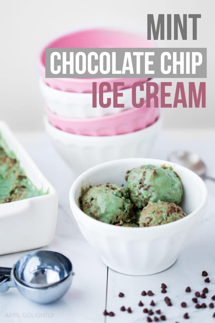 Mint Chocolate Chip Ice Cream 