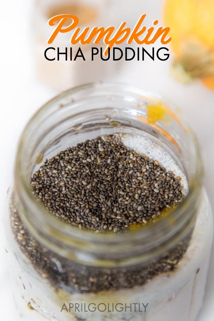 Pumpkin Chia Pudding Recipe