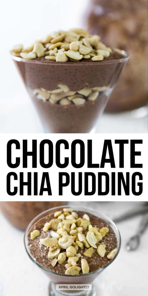 Chocolate Chia Pudding Recipe With Pumpkin