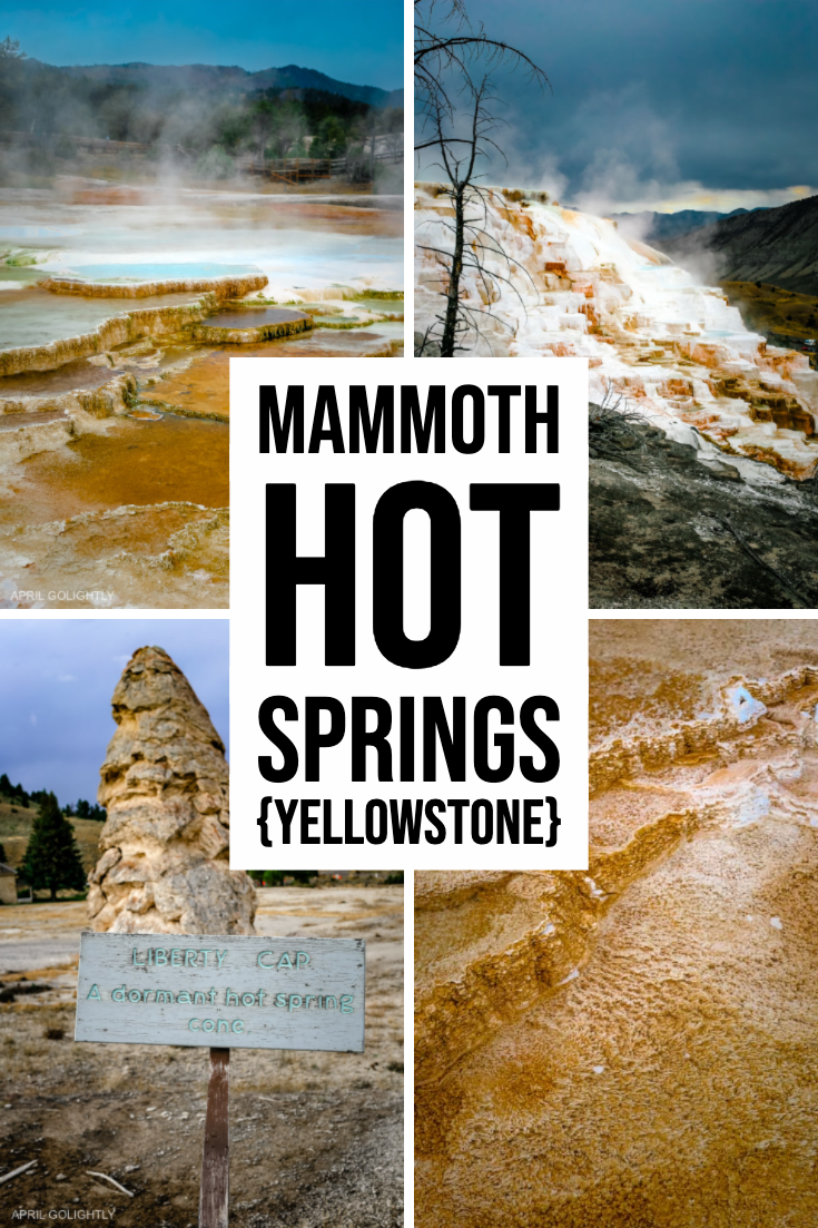 Mammoth Hot Springs Yellowstone