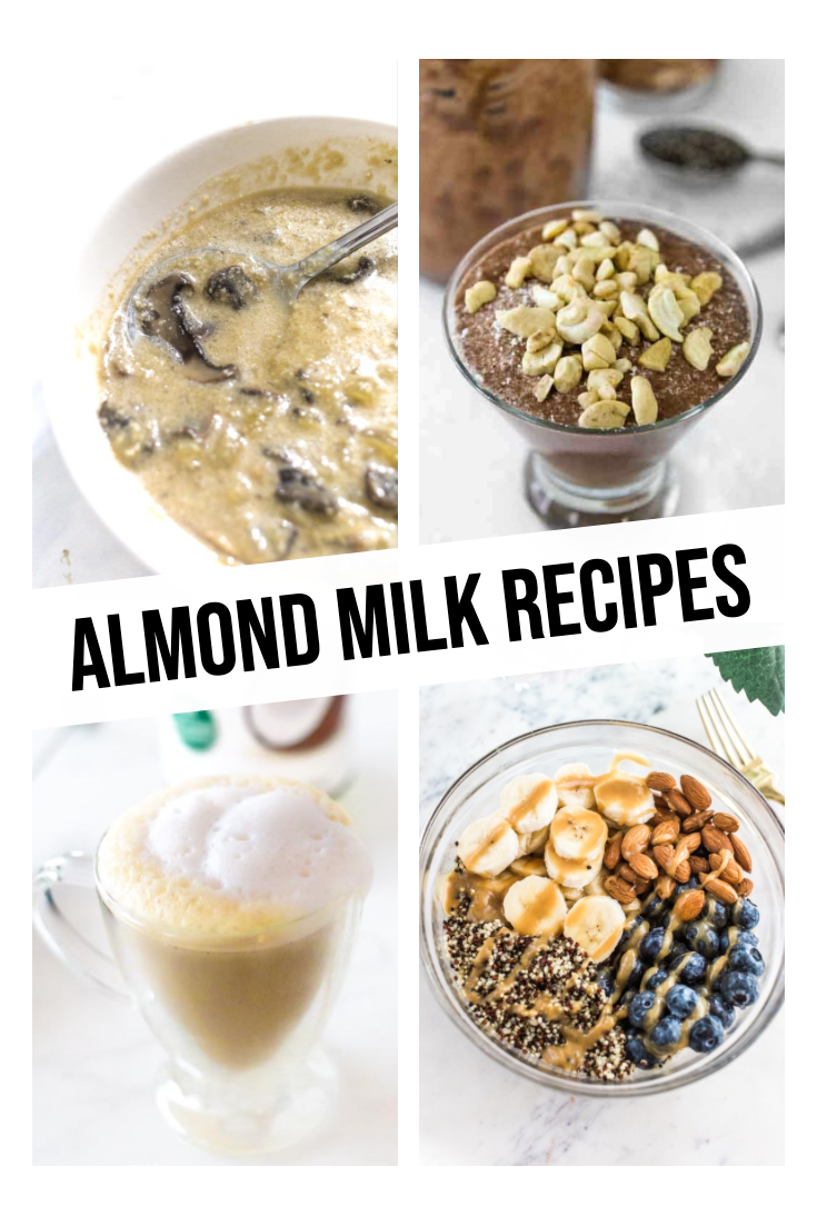 Almond milk is a great alternative to dairy. These almond milk recipes are dairy free and delicious at the same time! You will fall in love!