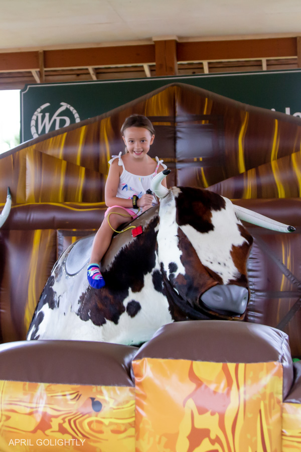 Bull riding at Westgate River Ranch Adventure Park