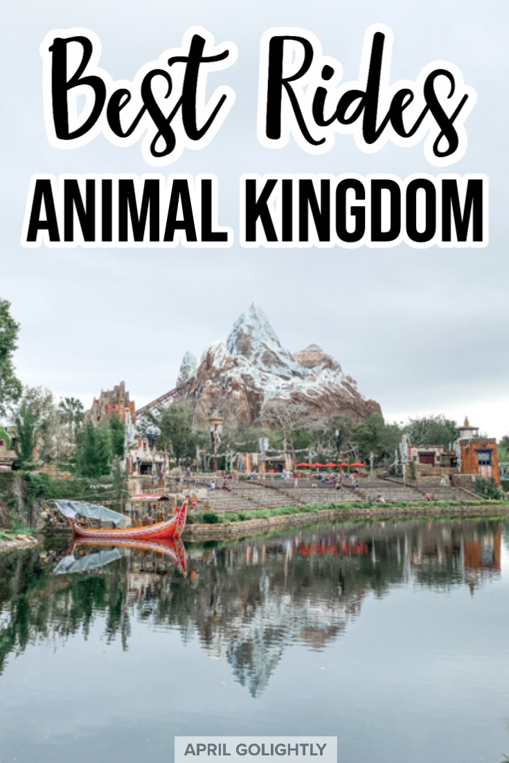 Best Rides at Animal Kingdom