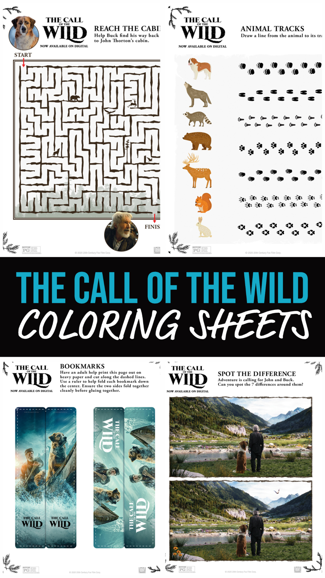 The Call of the Wild Activity Sheets