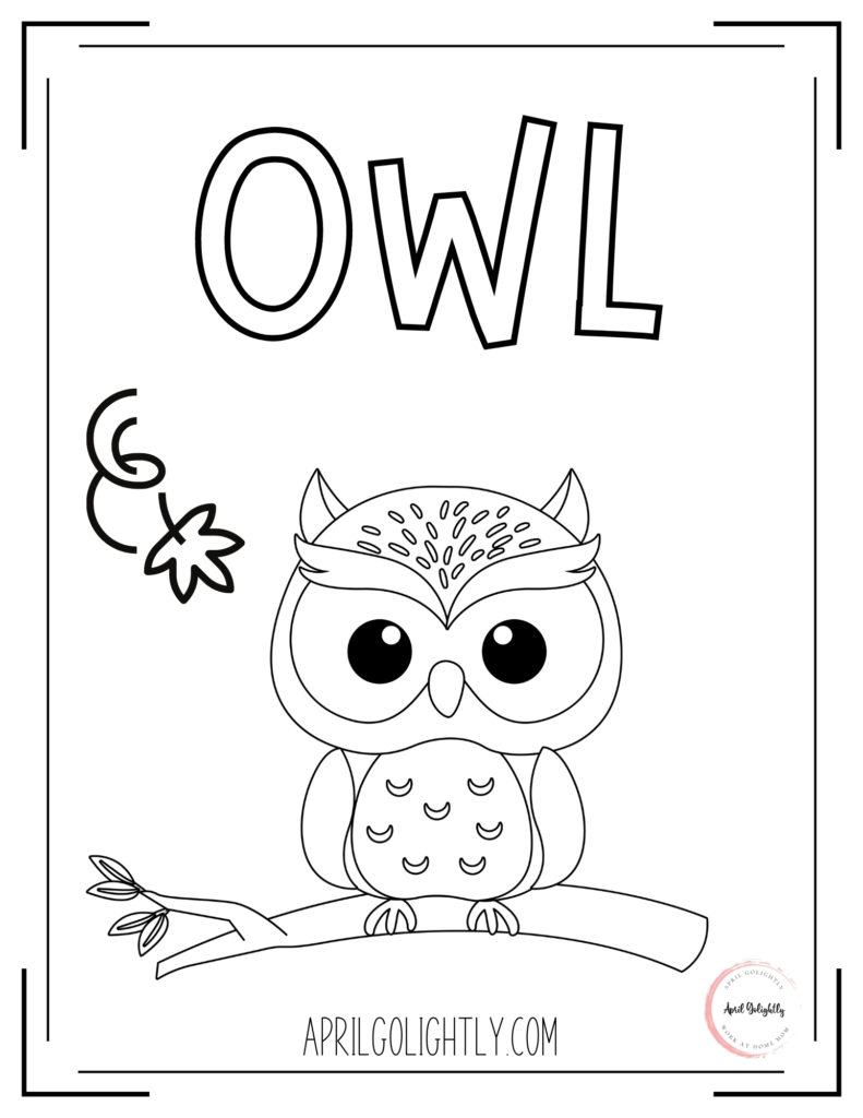 Animals Coloring Book owl