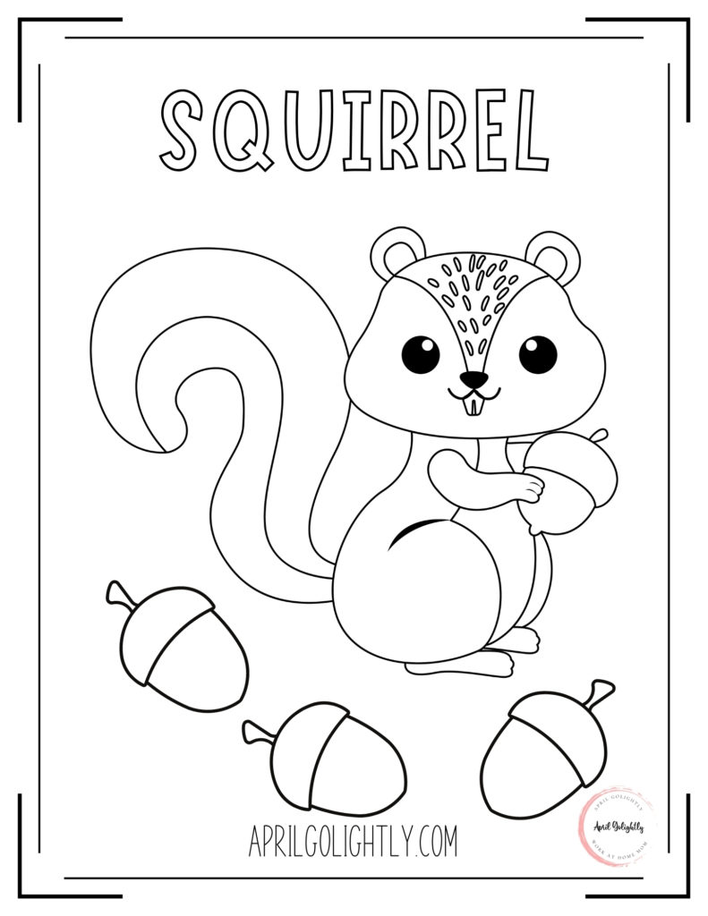 animals coloring book squirrel
